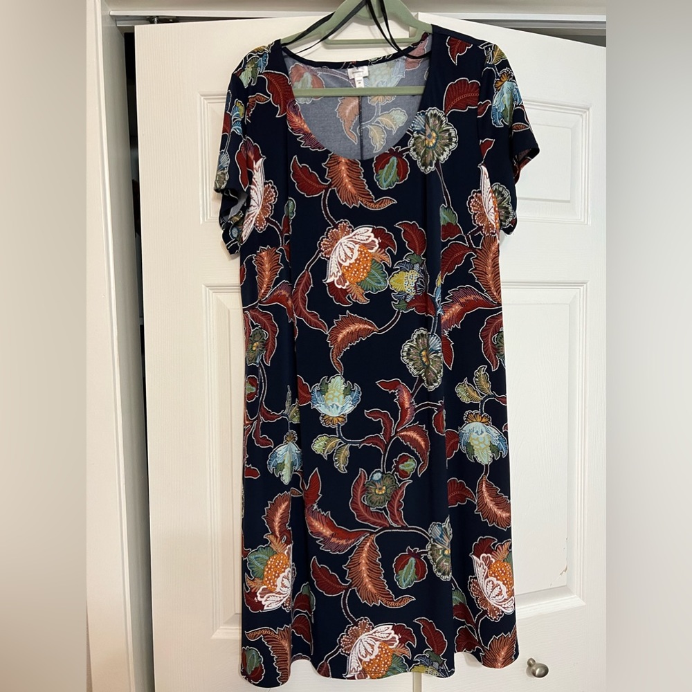 Roz and Ali plus size shift dress. 2X